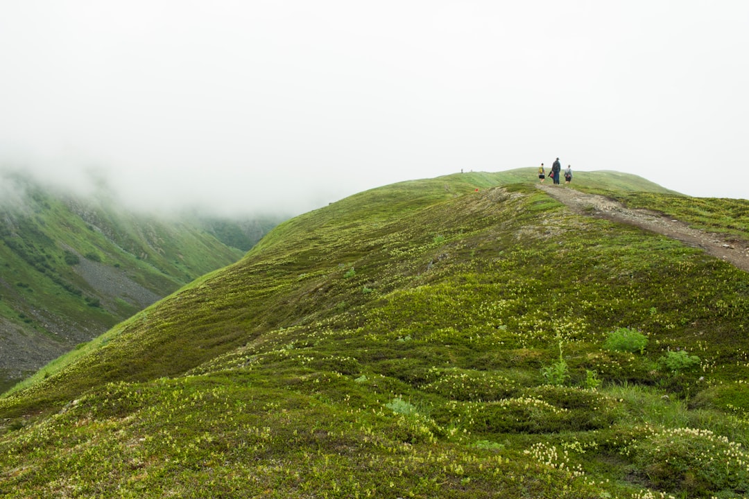 Photo Green mountains